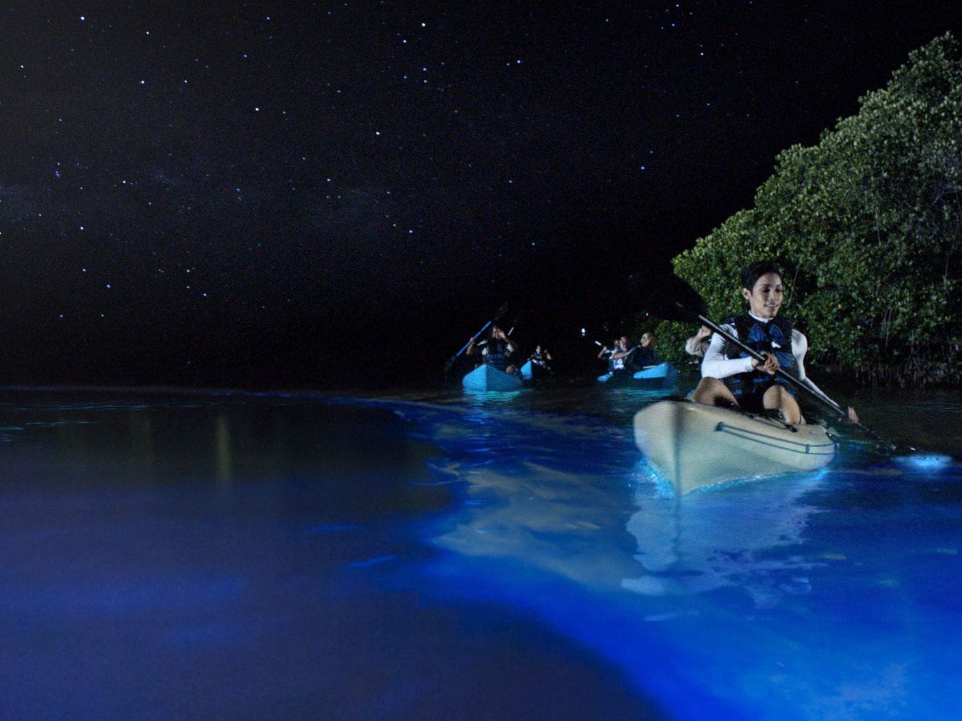 Mosquito Bay glowing blue-green at night in Vieques, the brightest bioluminescent bay in the world