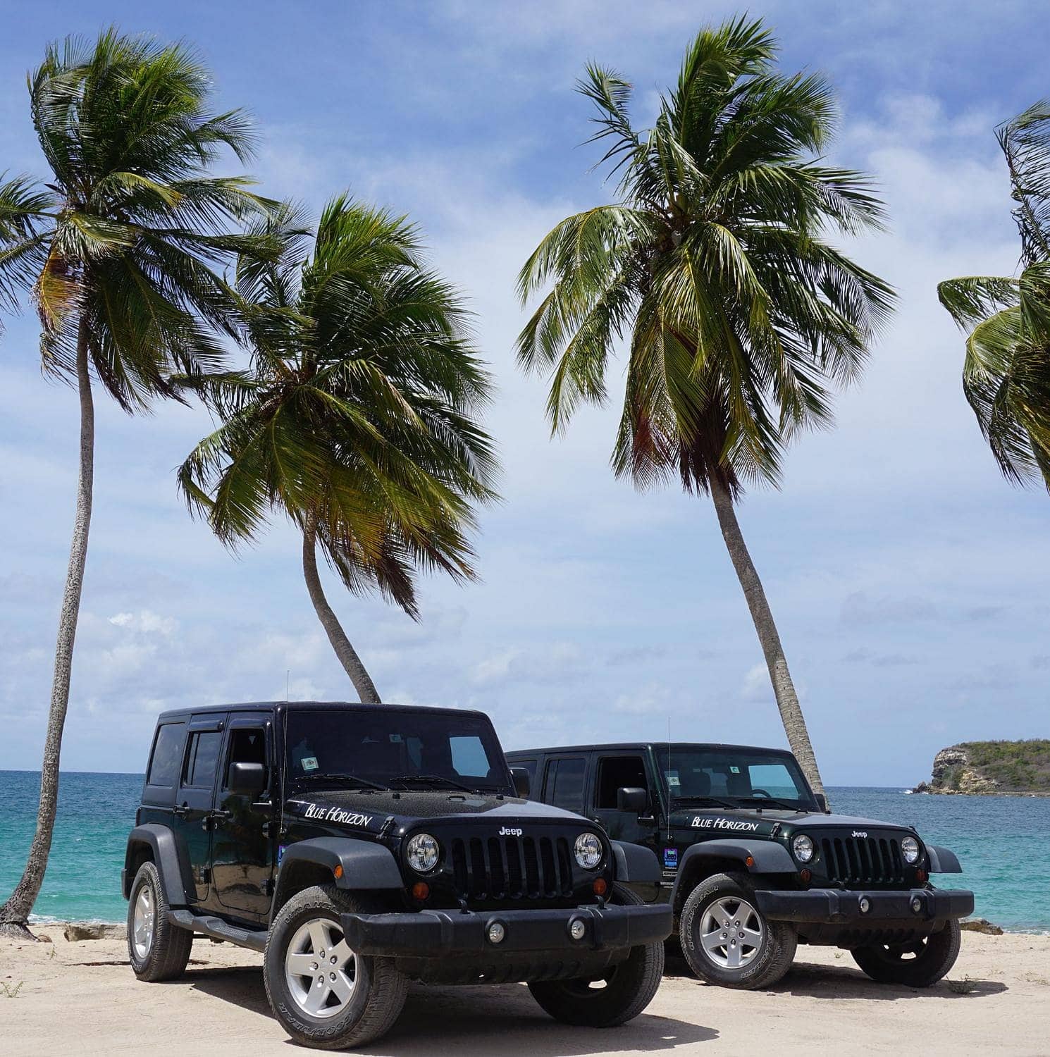 Two Blue Horizon Jeep Wranglers from Island Jeep Rental parked under palms on a Vieques beach